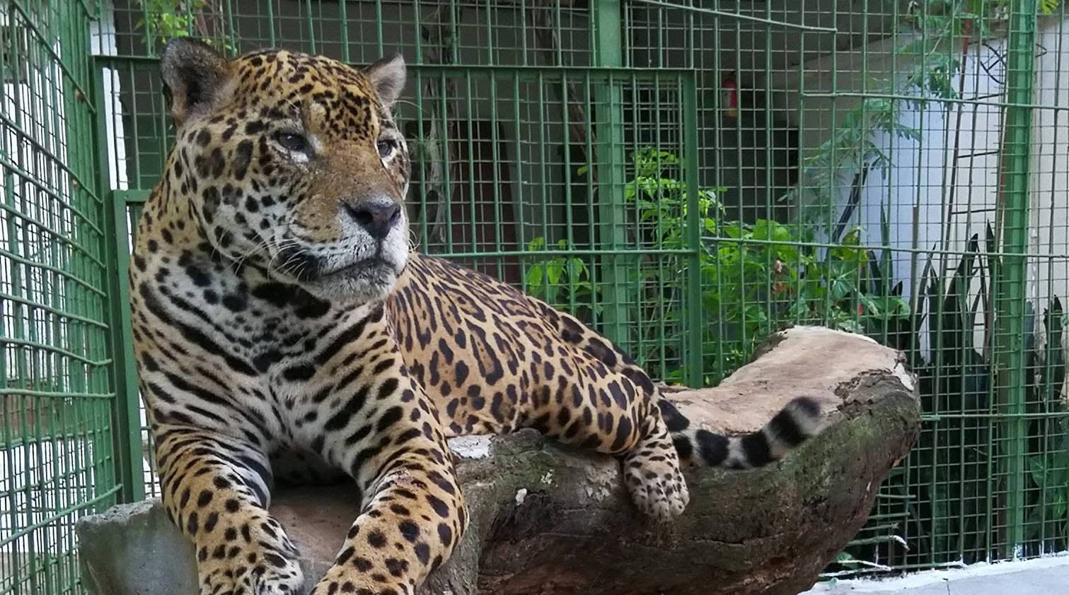 Mini Zoo del Juan XXIII