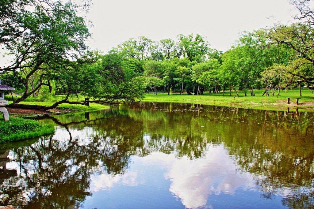 Jardín Botánico