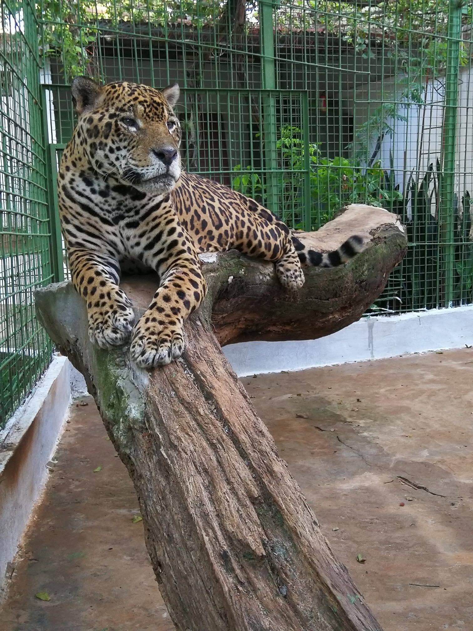 Mini Zoo del Juan XXIII