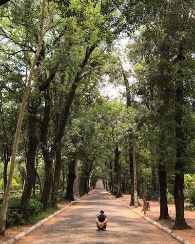 Jardín Botánico