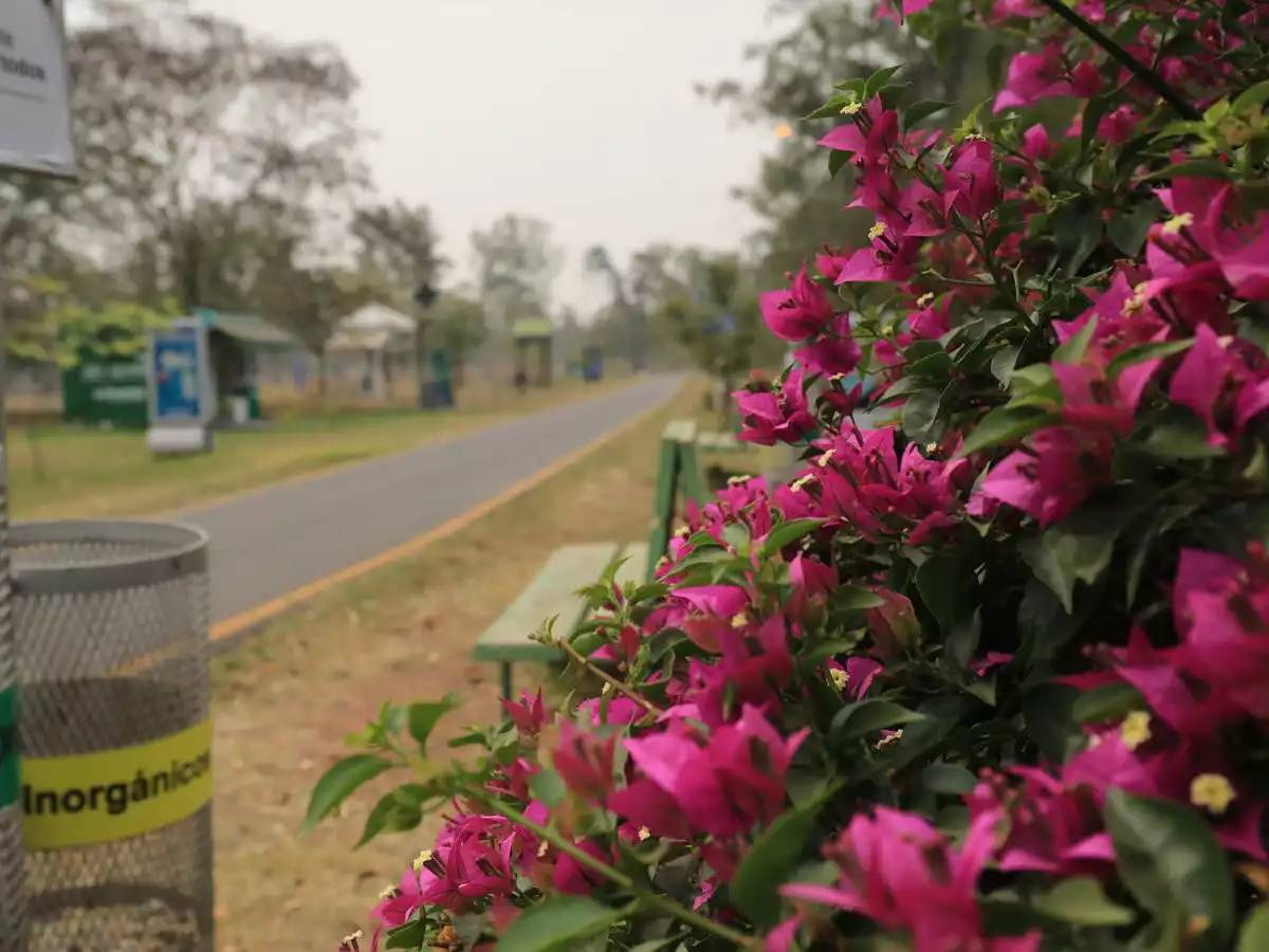 Parque Ñu Guasu