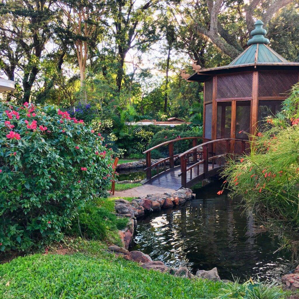 Parque Ñu Guasu