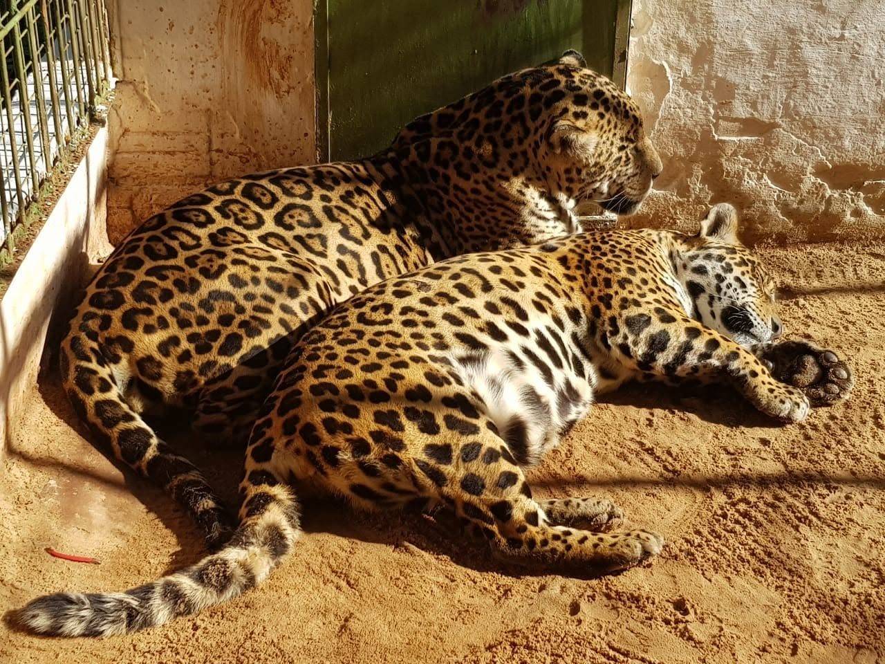 Mini Zoo del Juan XXIII