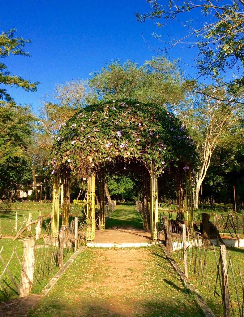Jardín Botánico